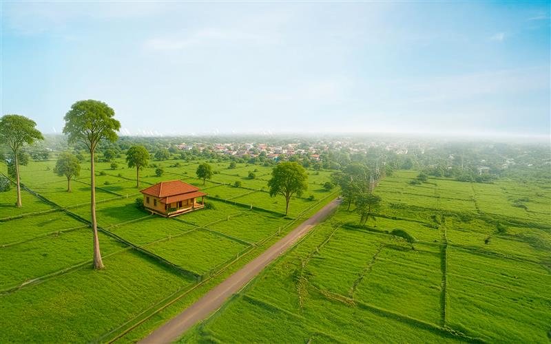Teak Meadows